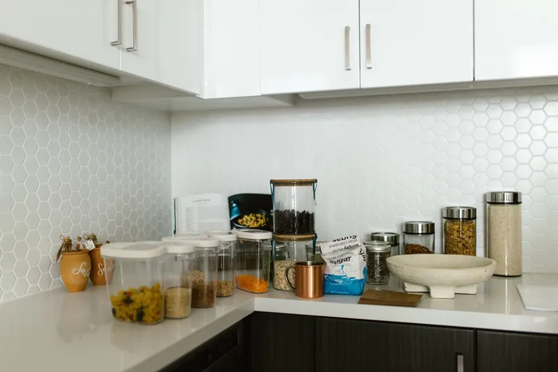 Lid Down, No Witnesses: Cracking the Cold Case of Your Missing Tupperware