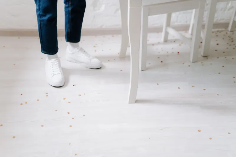One Wet Sock and Suddenly You're in Crisis: The Tiny Tragedy We Refuse to Accept